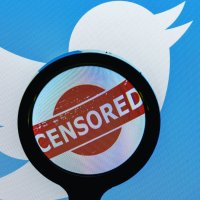 Los delincuentes cibernéticos (léase acosadores-terroristas) de Twitter contra la libertad de opinar